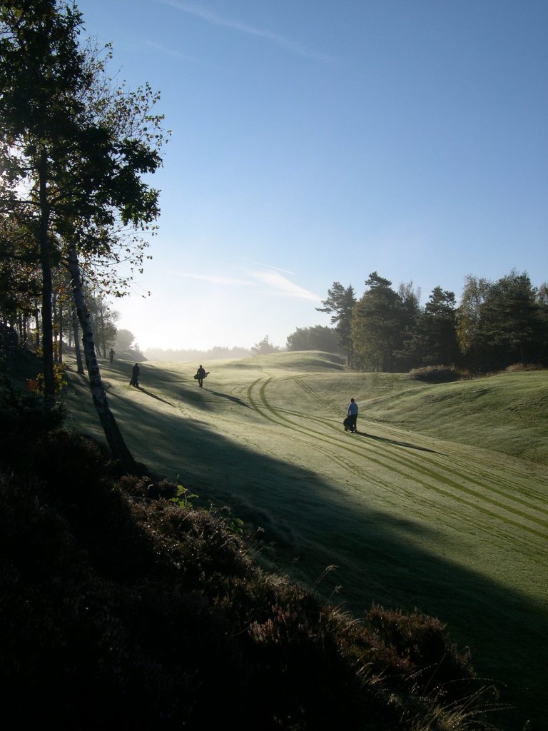 golf_hostmorgon--768x1024