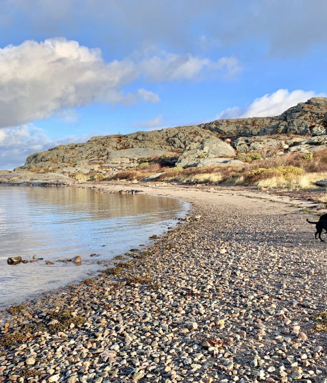 strand